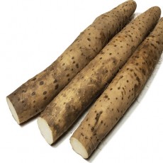 안동 장마 특품 5kg